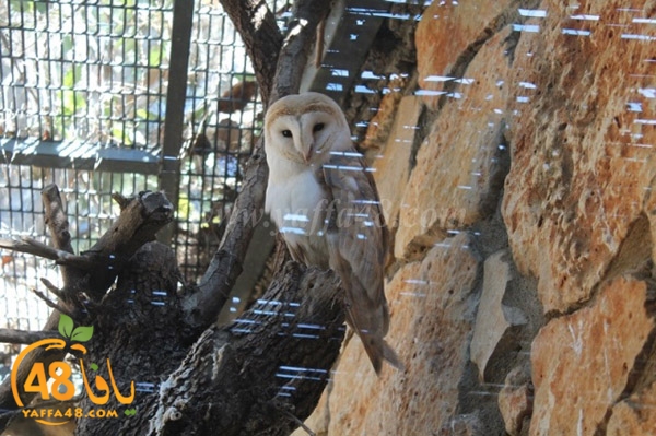 re7la 7eifa (69).JPG